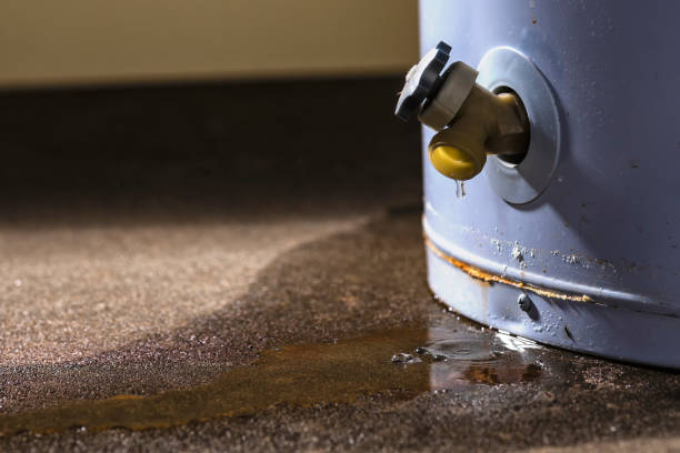 Best Mold removal after water damage  in Timberlake, VA
