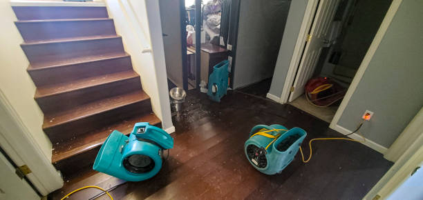 Best 24/7 water damage repair  in Timberlake, VA
