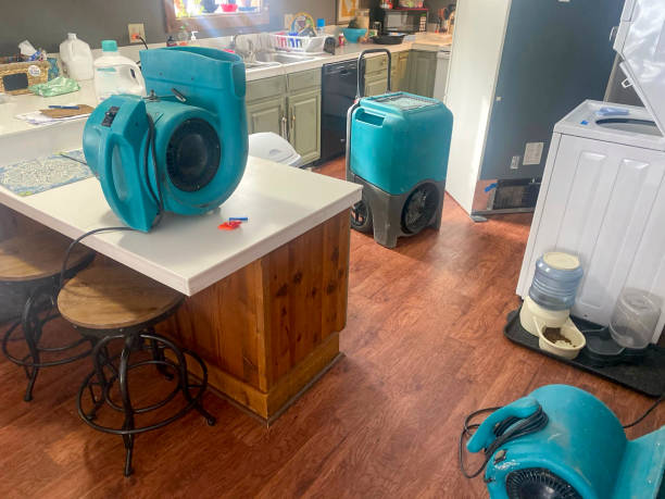 Best Water damage restoration near me  in Timberlake, VA