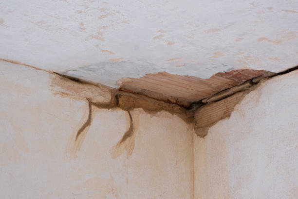 Best Residential water damage restoration  in Timberlake, VA