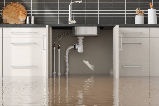 Best Flood damage cleanup  in Timberlake, VA