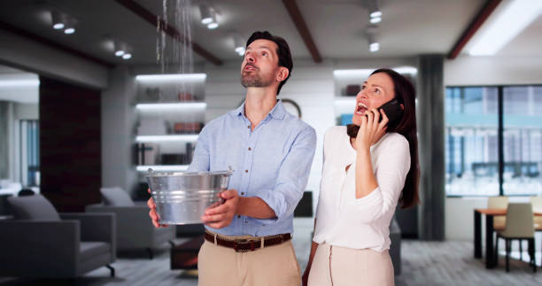 Best Water damage cleanup near me  in Timberlake, VA