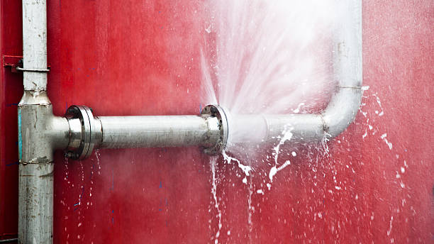 Best Professional water damage repair  in Timberlake, VA