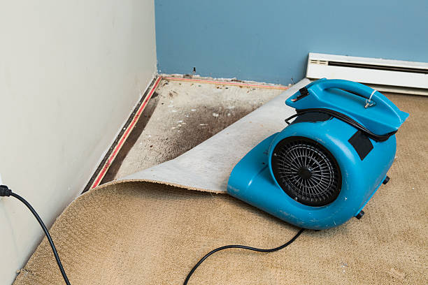 Best Water damage cleanup near me  in Timberlake, VA